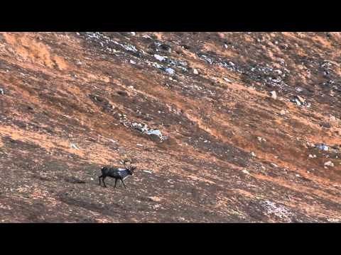 Moment of Impact - Yukon Reunion