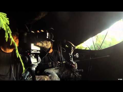 The Zone - Kentucky Early Season Whitetails