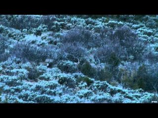 Extreme Outer Limits TV - The Best of Bair Ranch, Big Mule Deer Bucks