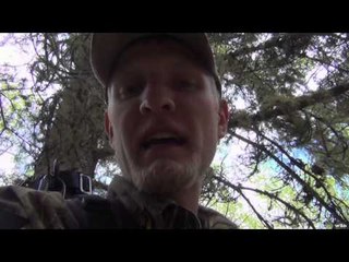 Silent Draw Outdoors - Saskatchewan Bears