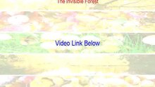 The Invisible Forest Free Download Movie [2008]