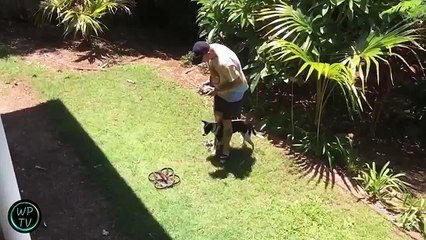 Best Fails - Funny Videos 2016 Part 01