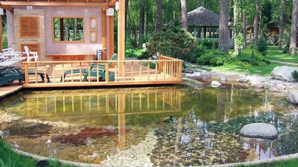 Пруд на дачном участке