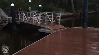 Dog Slides off Deck and Into Water