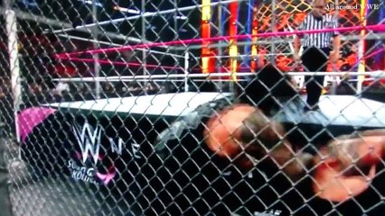 WWE Roman Reigns Vs Bray Wyatt Hell In A Cell 2015 Highlights