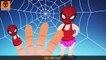 Семья пальчиков ВЕСЕЛЫЙ ПАУК | Человек - паукан | Funny Spider Finger Family in Russian