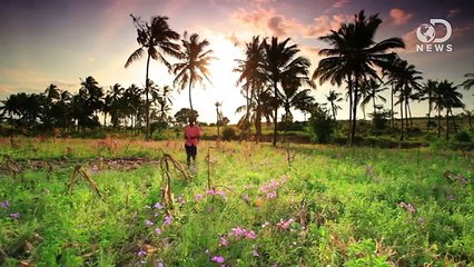 The One Weird Fear All Humans Share