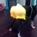 Twerking Dog (@VineCreative)