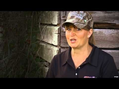 Archer's Choice - New Zealand Red Stag