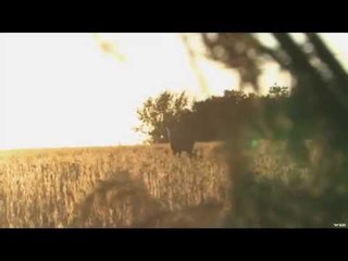 Outback Outdoors - Missouri Bonfire