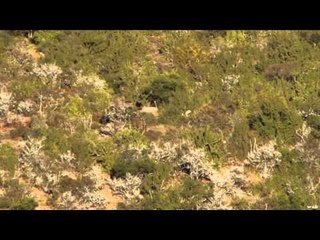Extreme Outer Limits TV - Long Range Nyala, Warthog and Duiker in South Africa