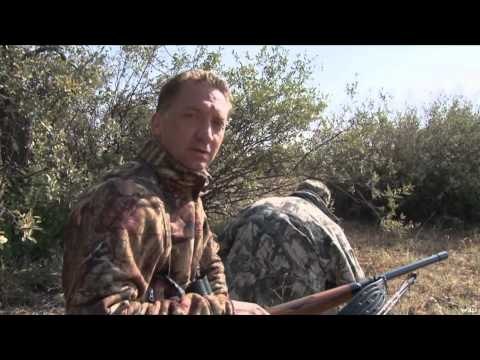 Outdoor Quest TV - South Africa Gemsbok and Impala