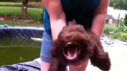 EL PERRO DEMONIO (720p)