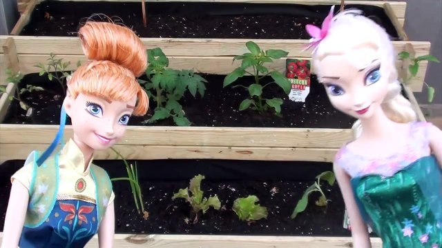 Dingle, dangle scarecrow- learn English with Frozen, canciones fáciles en inglés para niños