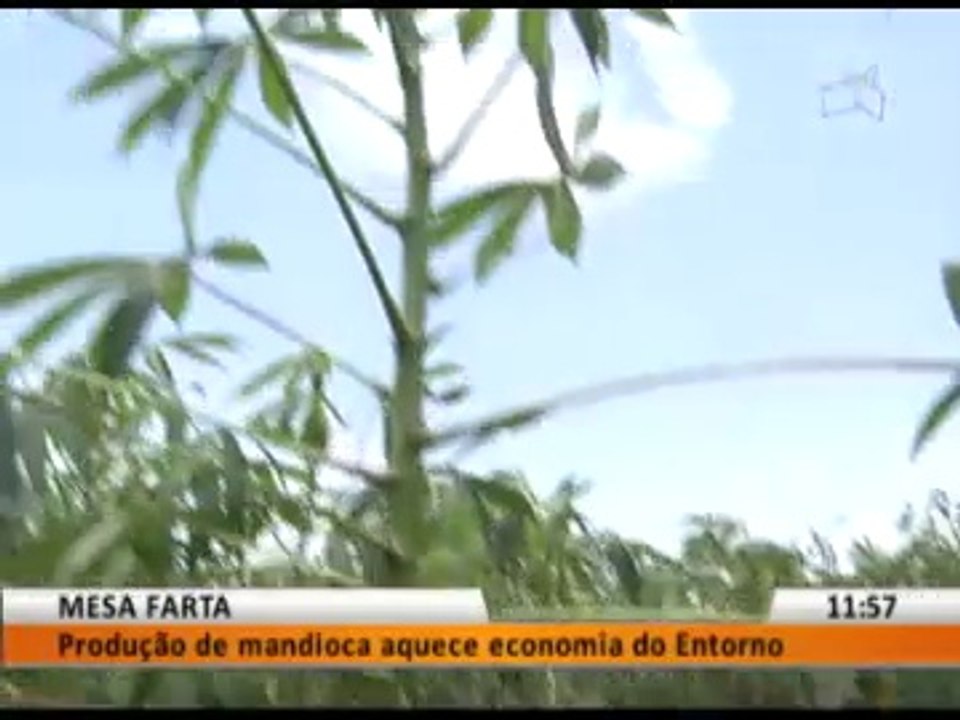 MESA FARTA
