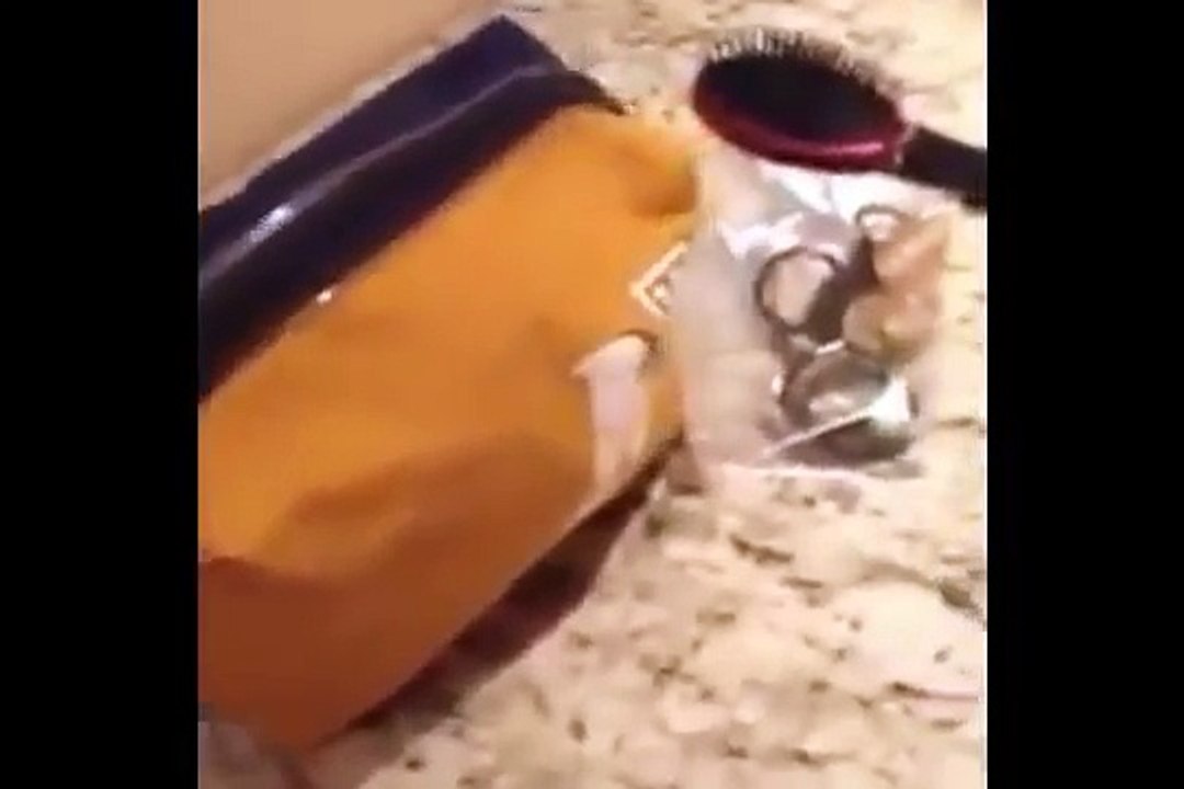 Video Intimo da Munik BBB16 vaza na net