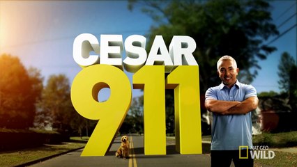 Cesar 911 Case File: Vada