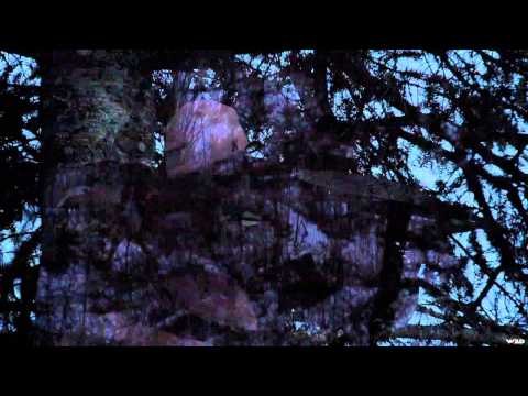 Angler & Hunter Television - Thunder Bay Town Deer