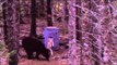 Hard Core Hunter - King Optics Spring Bear at Ugly Bear Lodge