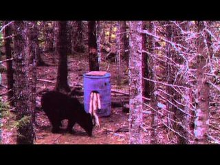 Hard Core Hunter - King Optics Spring Bear at Ugly Bear Lodge