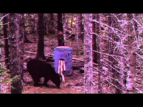 Hard Core Hunter - King Optics Spring Bear at Ugly Bear Lodge