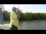 The Real Canadian Joes - Cancun Tarpon Fishing