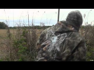 Team Fall Brawl TV - Tough Times in the Early Season