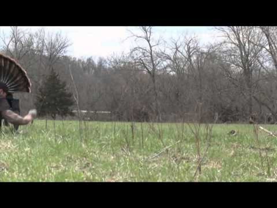 Mojo TV - Scoot and Shoot! Part 2
