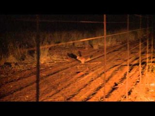 Relentless Pursuit  - Little Big Time