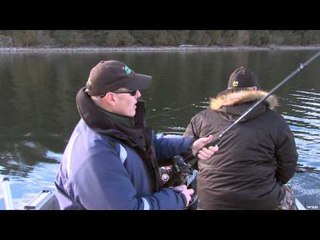 Fishful Thinking - Live Target Walleye, Floats and Divers