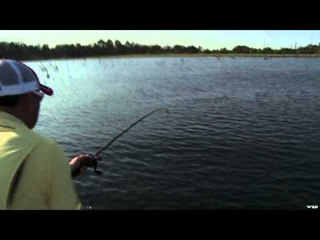 G3 Sportsman - Cover Bass