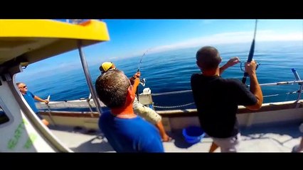 Pêche du Thon - SEBASTIEN GAS