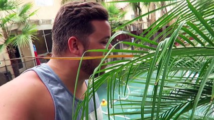 DOG DEVOURS FAMILY CAKE!