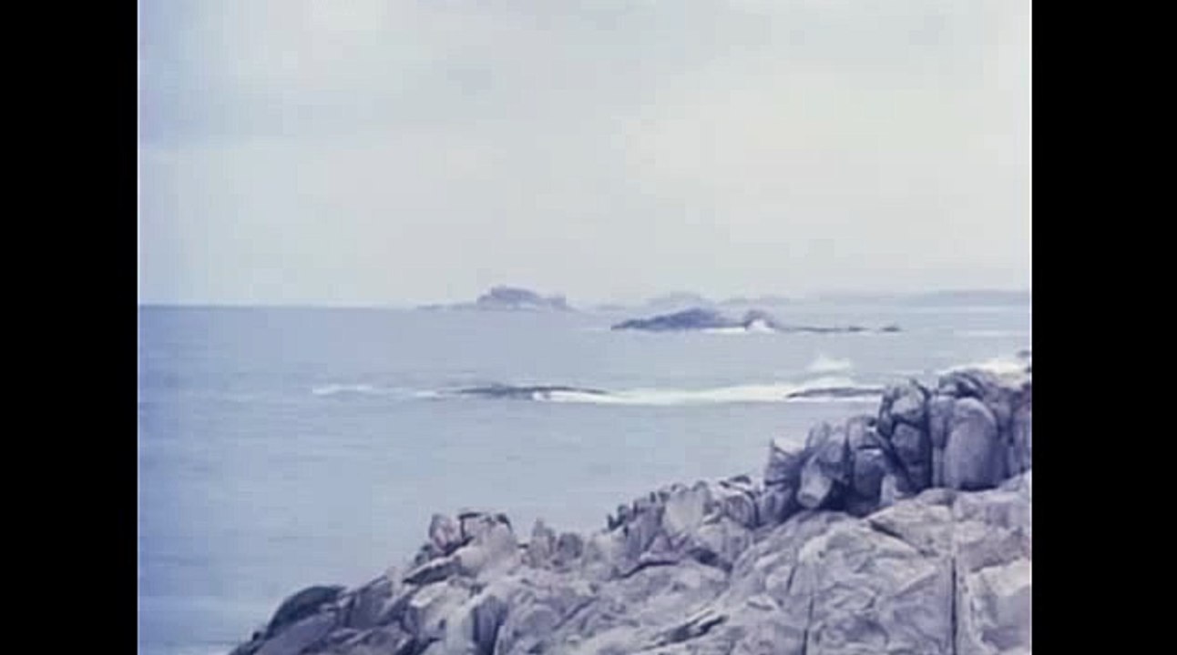 바카라프로그램▷  WKW22。COM  ☞사설토토사이트추천♭필리핀카지노