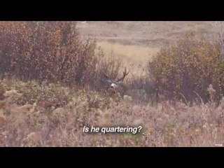 Live 2 Hunt - Paying Her Dues