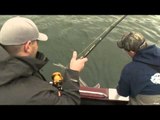 Sportfishing Adventures - Prestige Sport Fishing
