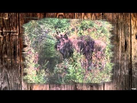 Just Us Hunting - Just for Us Hunting