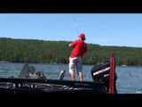Fish TV - Land O' Lakes Part 1