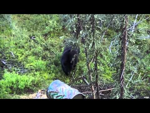 Maximus Outdoor Adventures - Macoun Lake Lodge