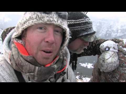 Live 2 Hunt - Archery Bighorns