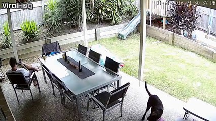 Anjing ini Menyelamatkan Pemiliknya dari Gigitan Ular Berbisa