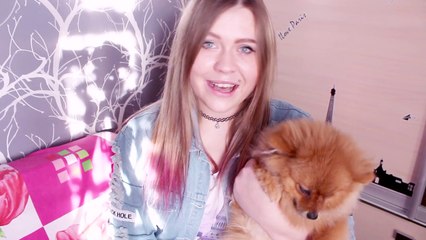 CAT NEWS ♡ 100k, где я была???