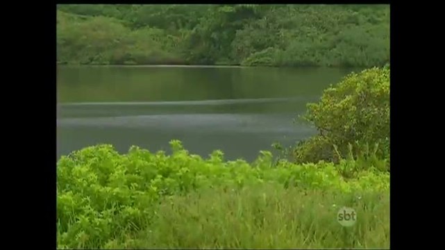 Área de preservação ambiental no Rio sofre com estacionamentos ilegais