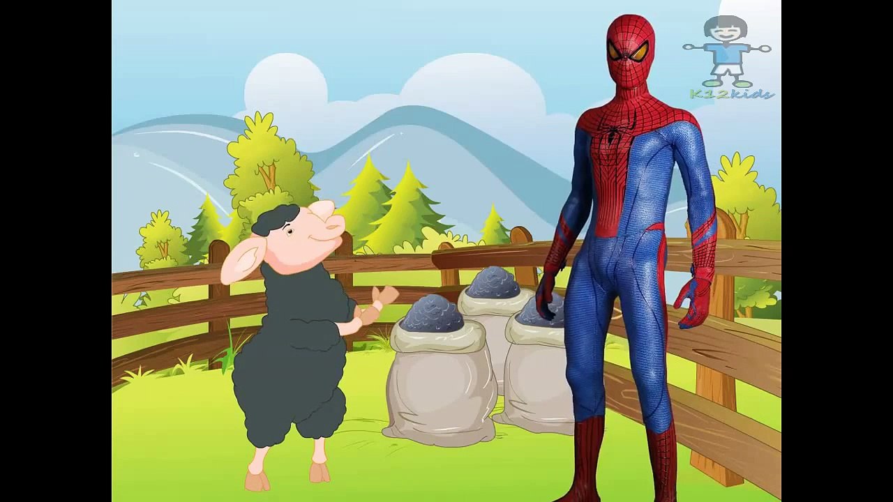 Spiderman Cartoon Finger Family,Baa Baa Black Sheep | Popular Nursery Rhymes Collection fo