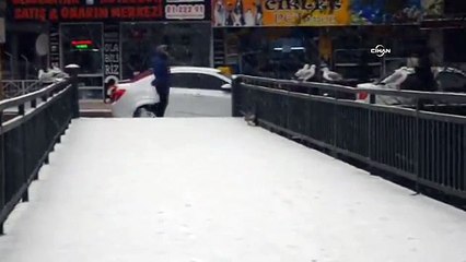 Balık avına çıkan martı kediye böyle av oldu