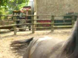 Emir060507 030