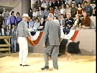 State Fair (1962) 3/3