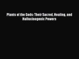 (PDF Download) Plants of the Gods: Their Sacred Healing and Hallucinogenic Powers Read Online