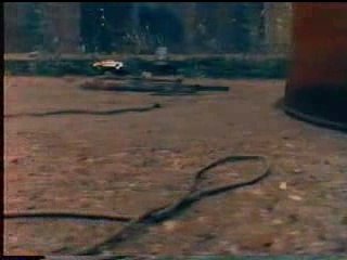 Maxi Priest - Goodbye to love again